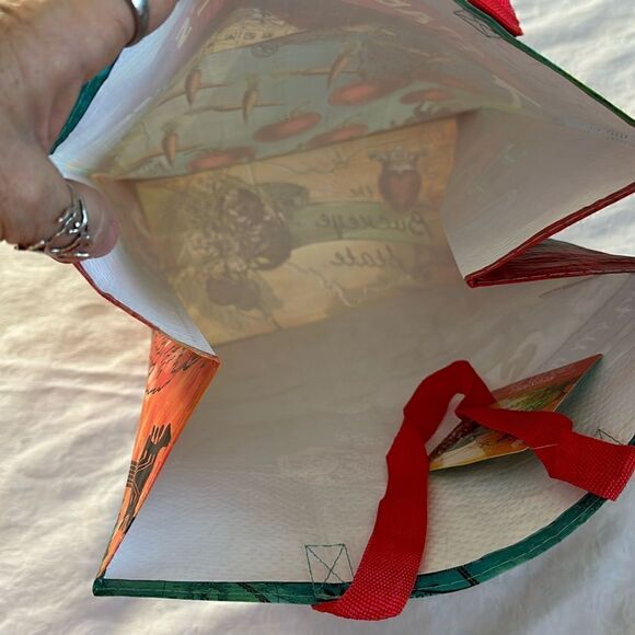 Trader Joe’s Plastic Reusable Shopping Tote Bag 6 Gallon Ohio Collectible - Picture 3 of 14